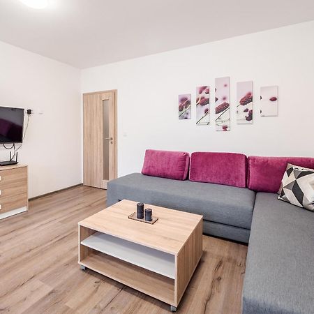 Private Luxury Apartments Frymburk Room photo