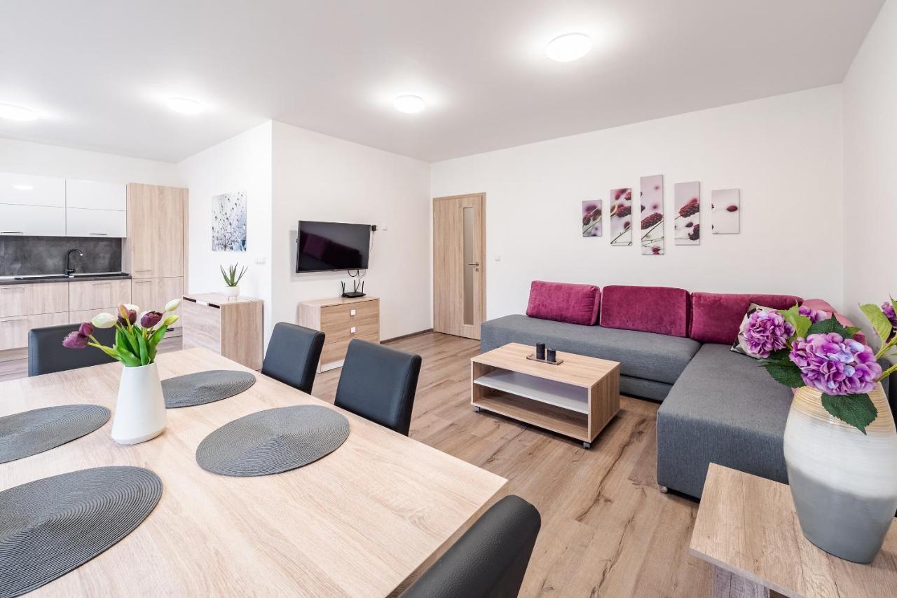 Private Luxury Apartments Frymburk Exterior photo