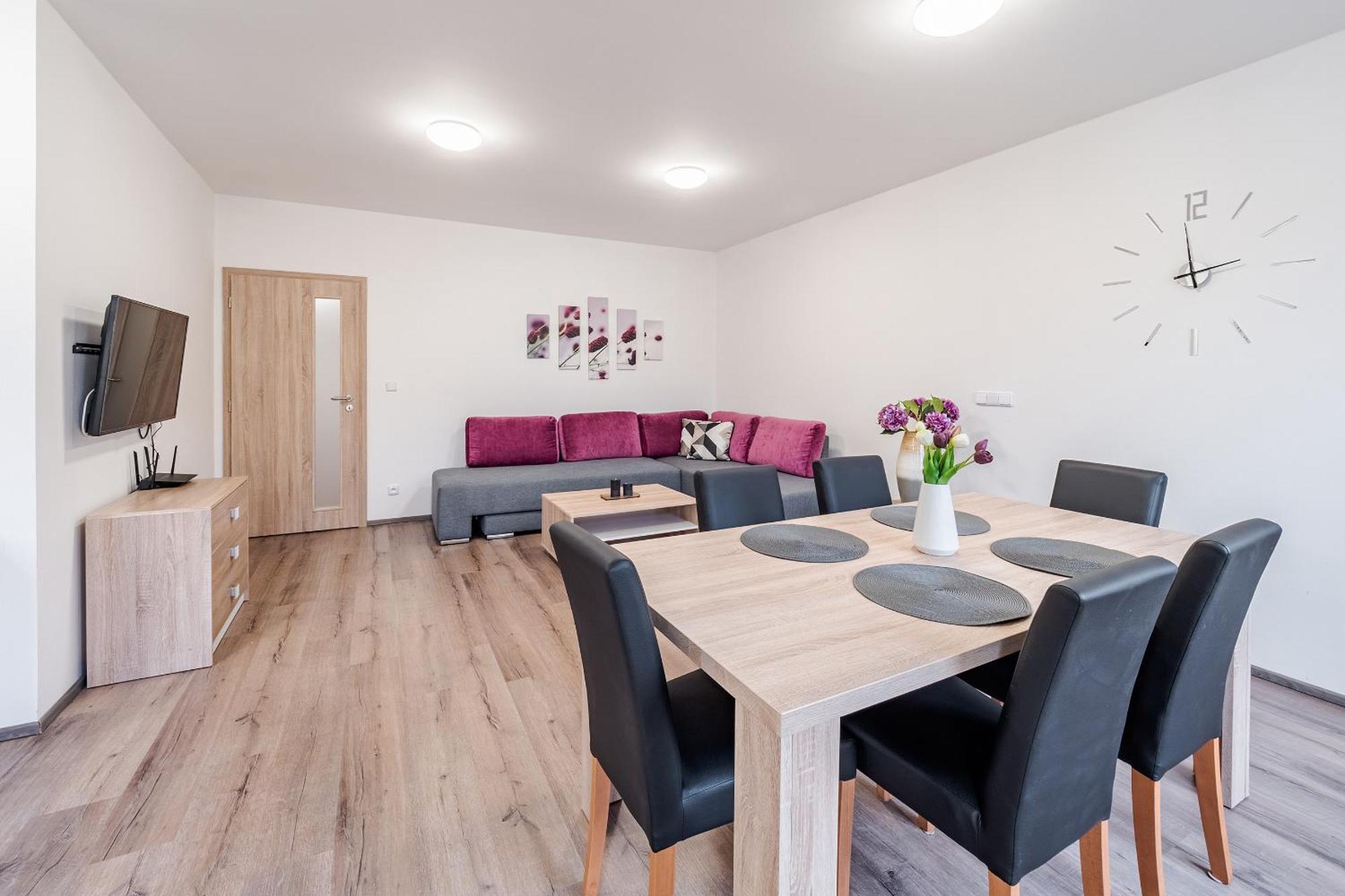 Private Luxury Apartments Frymburk Room photo